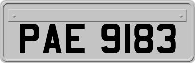 PAE9183