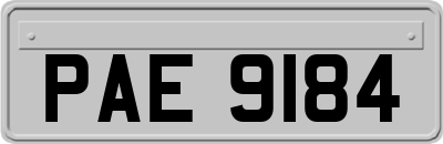 PAE9184