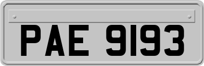 PAE9193