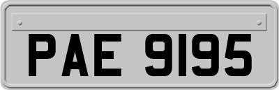 PAE9195