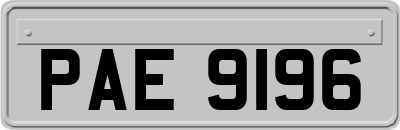 PAE9196