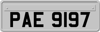 PAE9197