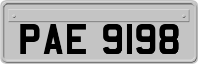 PAE9198