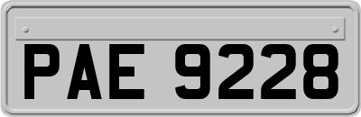 PAE9228