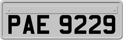 PAE9229