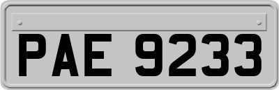 PAE9233