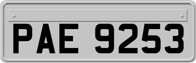 PAE9253