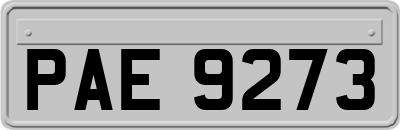 PAE9273
