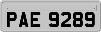 PAE9289