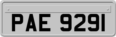 PAE9291