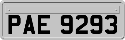 PAE9293