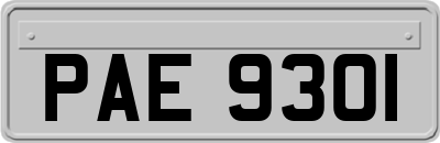 PAE9301