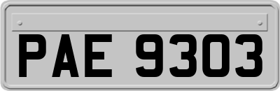 PAE9303