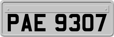 PAE9307