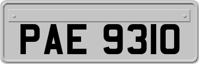 PAE9310