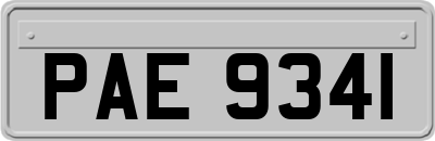 PAE9341