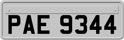 PAE9344