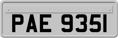 PAE9351