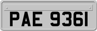 PAE9361