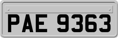 PAE9363
