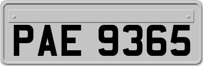 PAE9365