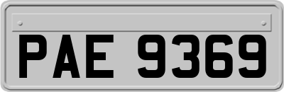 PAE9369