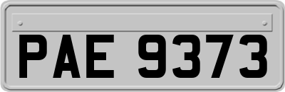 PAE9373