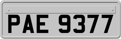 PAE9377