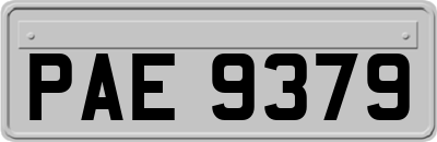 PAE9379