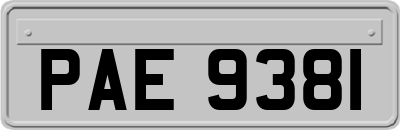 PAE9381
