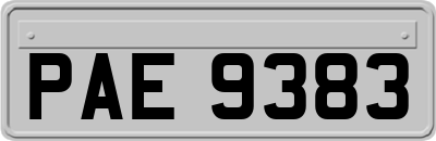 PAE9383