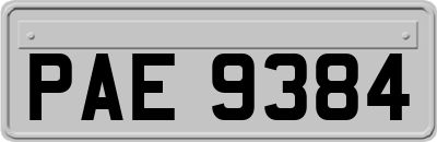 PAE9384