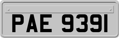 PAE9391