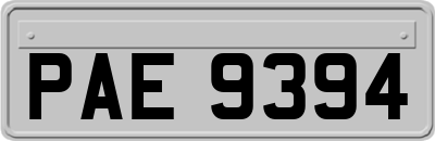 PAE9394