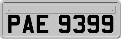 PAE9399