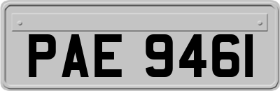 PAE9461