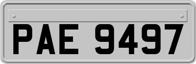 PAE9497