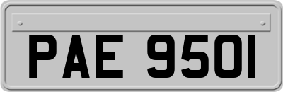 PAE9501
