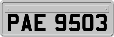 PAE9503