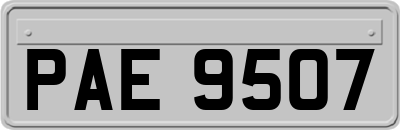 PAE9507