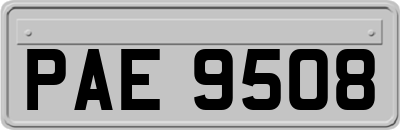 PAE9508