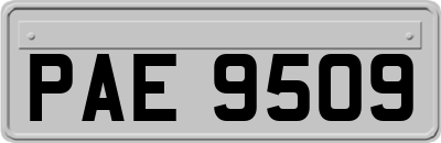 PAE9509