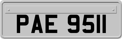 PAE9511