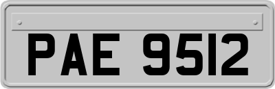 PAE9512