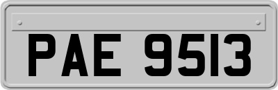PAE9513