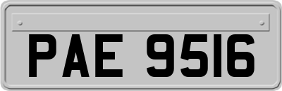 PAE9516
