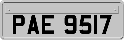 PAE9517