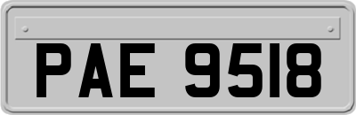 PAE9518