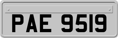 PAE9519