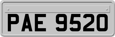 PAE9520